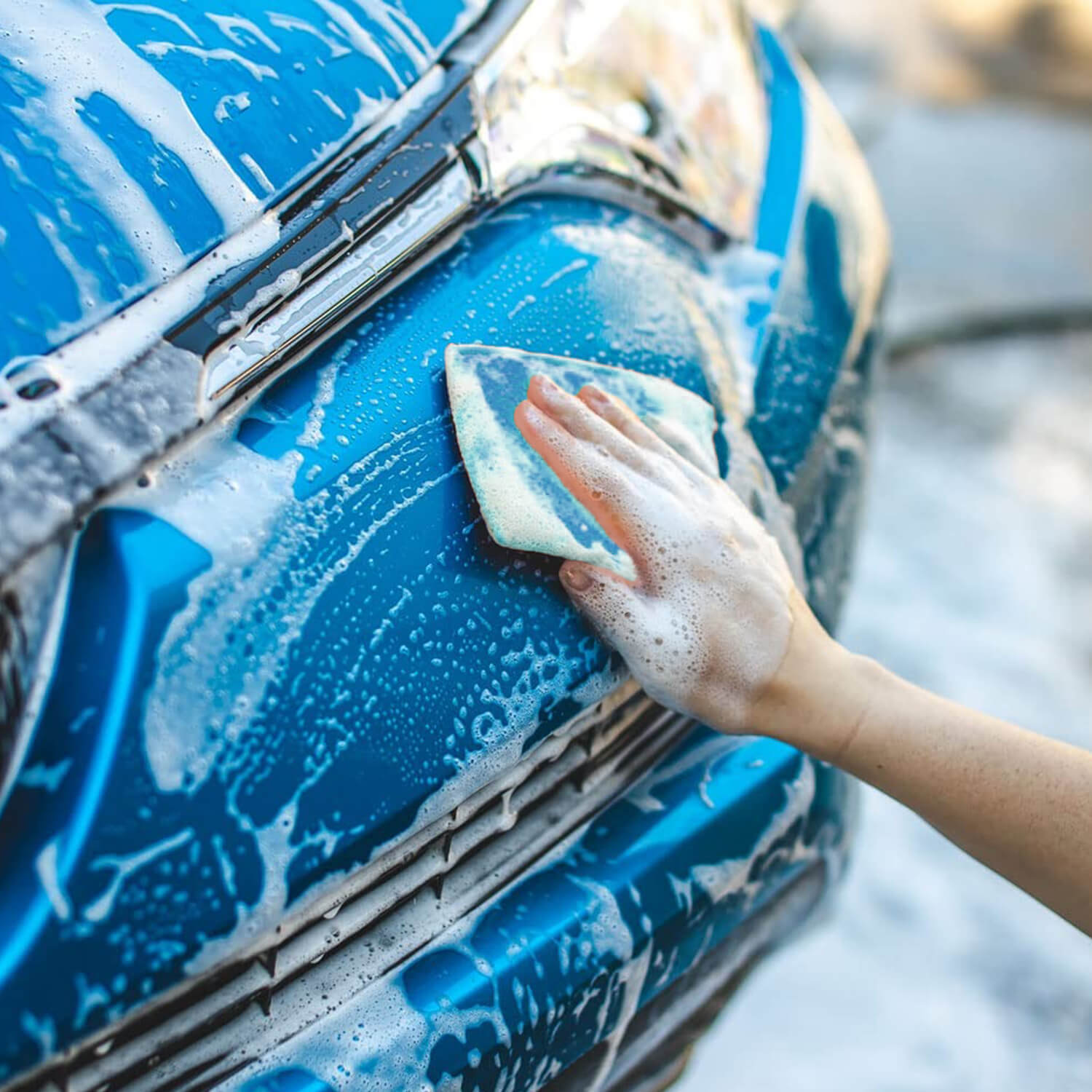 jersey-bug-scrubber-pads-blue